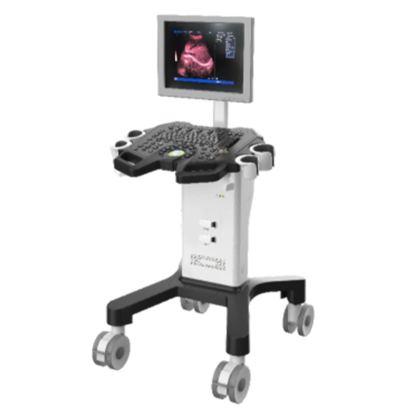 SM-50T Full Digital Trolley Black and White Ultrasound Dignostic System