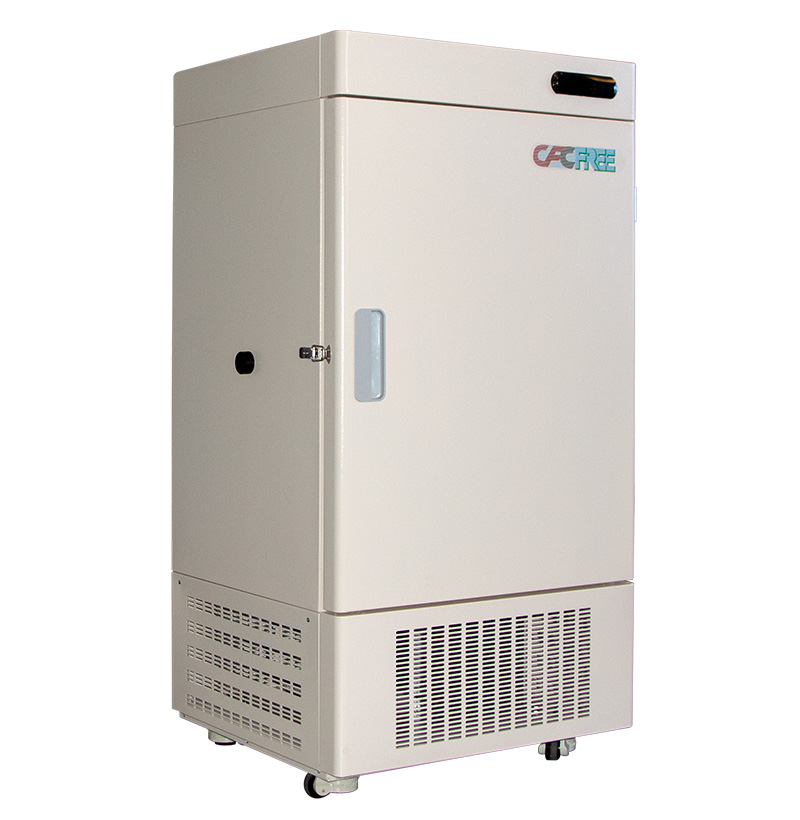 SDW-L208 Vertical Freezer