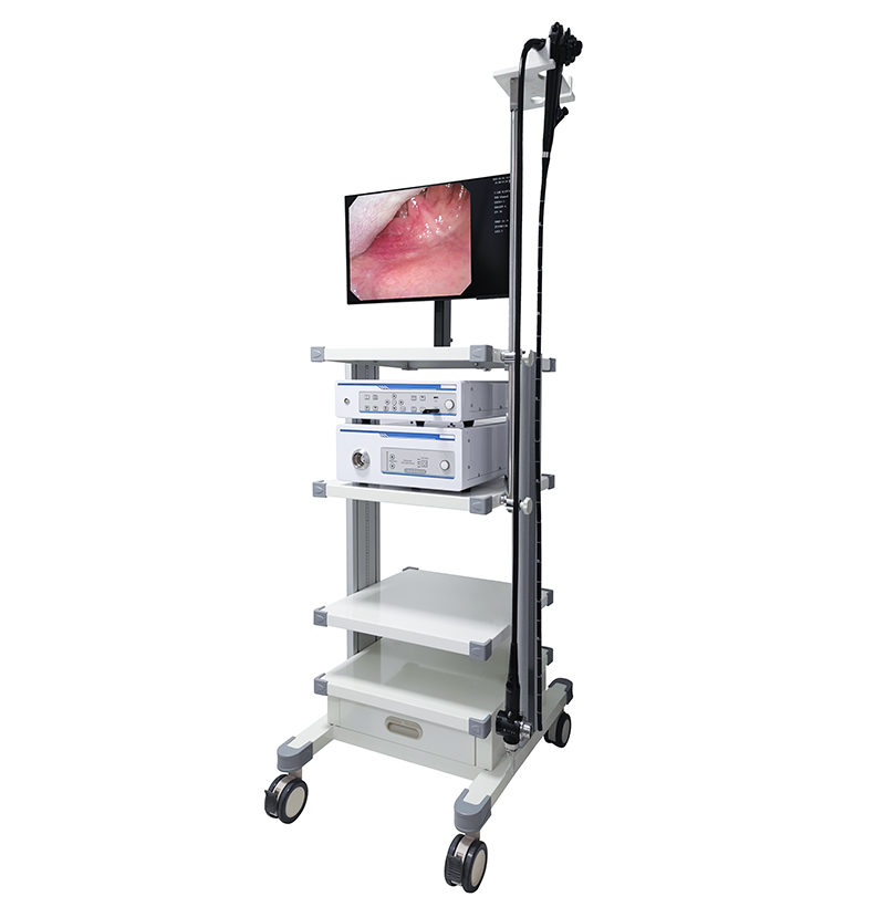 SMT-608E Video Colonoscopio