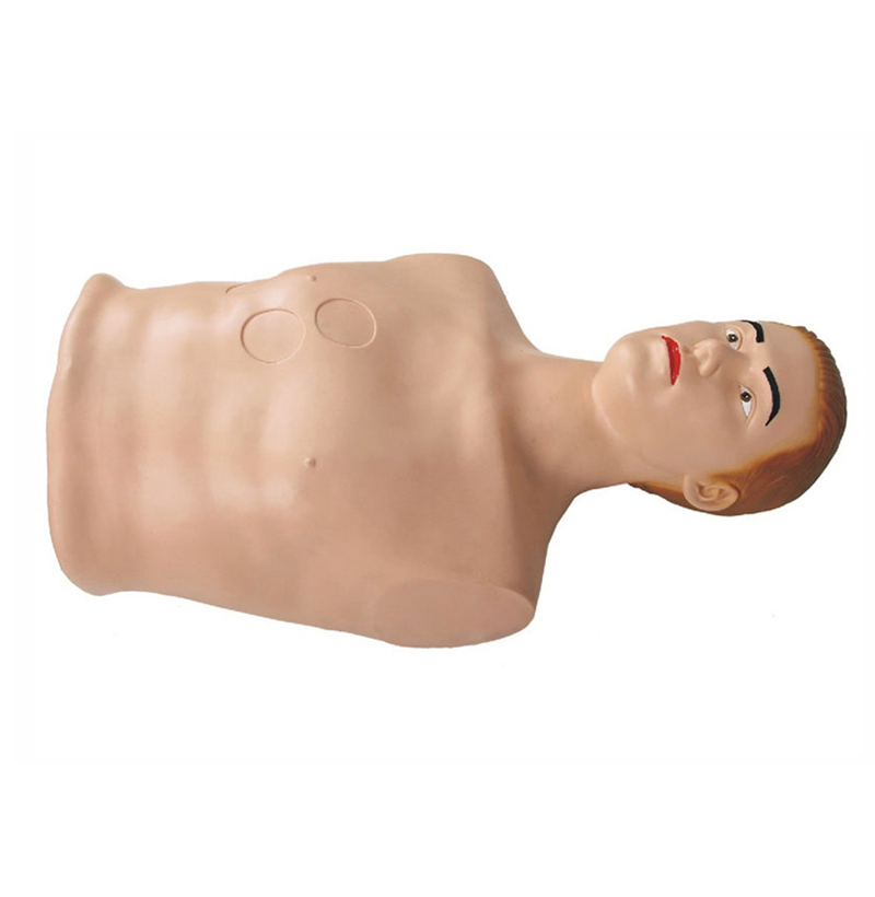 SY817 punción pericárdica y modelo de simulación de inyección cardíaca e intracárdica